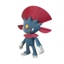 Weavile