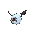 Woobat