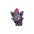 Zorua