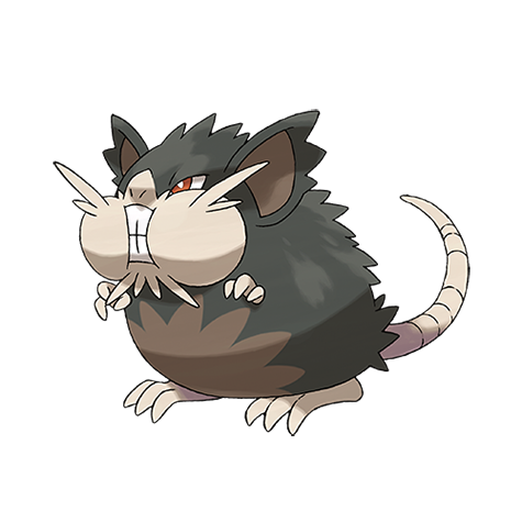 Official artwork of Raticate Alola