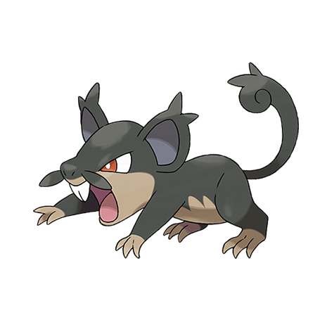 Official artwork of Rattata Alola
