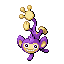 Aipom