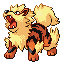 Arcanine