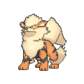 Arcanine