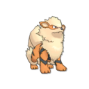 Arcanine