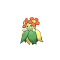 Bellossom