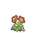 Bellossom