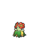 Bellossom