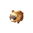 Bidoof