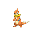 Buizel
