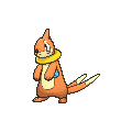 Buizel