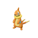 Buizel