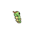 Caterpie