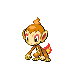 chimchar