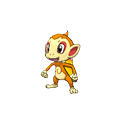 Chimchar