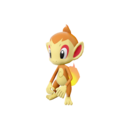 chimchar