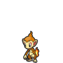 Chimchar
