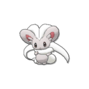 Cinccino