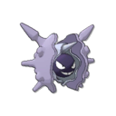 Cloyster