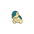 Cyndaquil