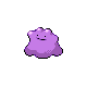 Ditto