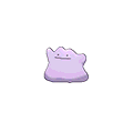 Ditto