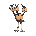 Dodrio