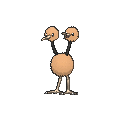 Doduo