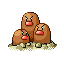 Dugtrio