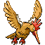 Fearow