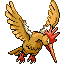 Fearow
