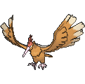 Fearow