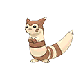 Furret