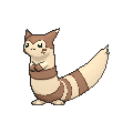 Furret