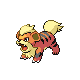 Growlithe