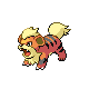 Growlithe