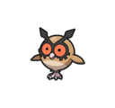 Hoothoot