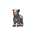 Houndour