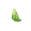 Metapod