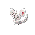 Minccino