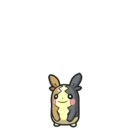 Morpeko