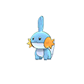 Mudkip