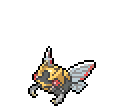 Ninjask