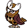 noctowl