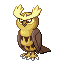 Noctowl