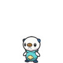 Oshawott