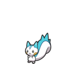 pachirisu