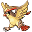 Pidgeot