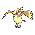 Pidgeot