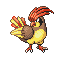 Pidgeotto